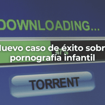 Nuevo caso de exito sobre pornografia infantil en Almeria-Perito Informatico Almeria